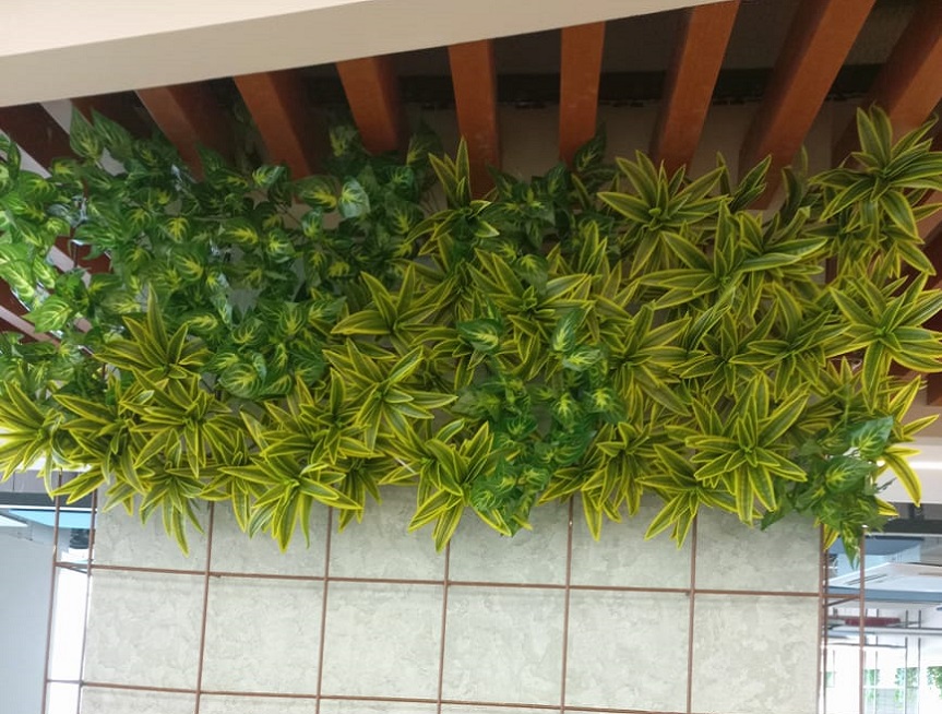 Greenscape Creation